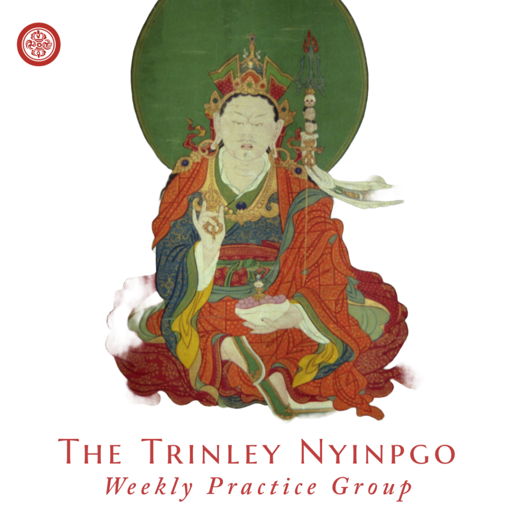 The programs featured image