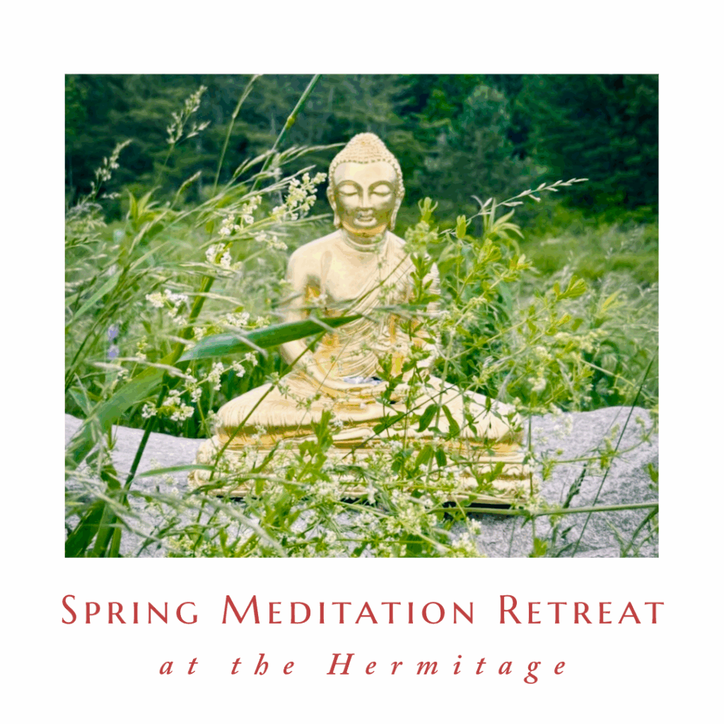 The programs featured image