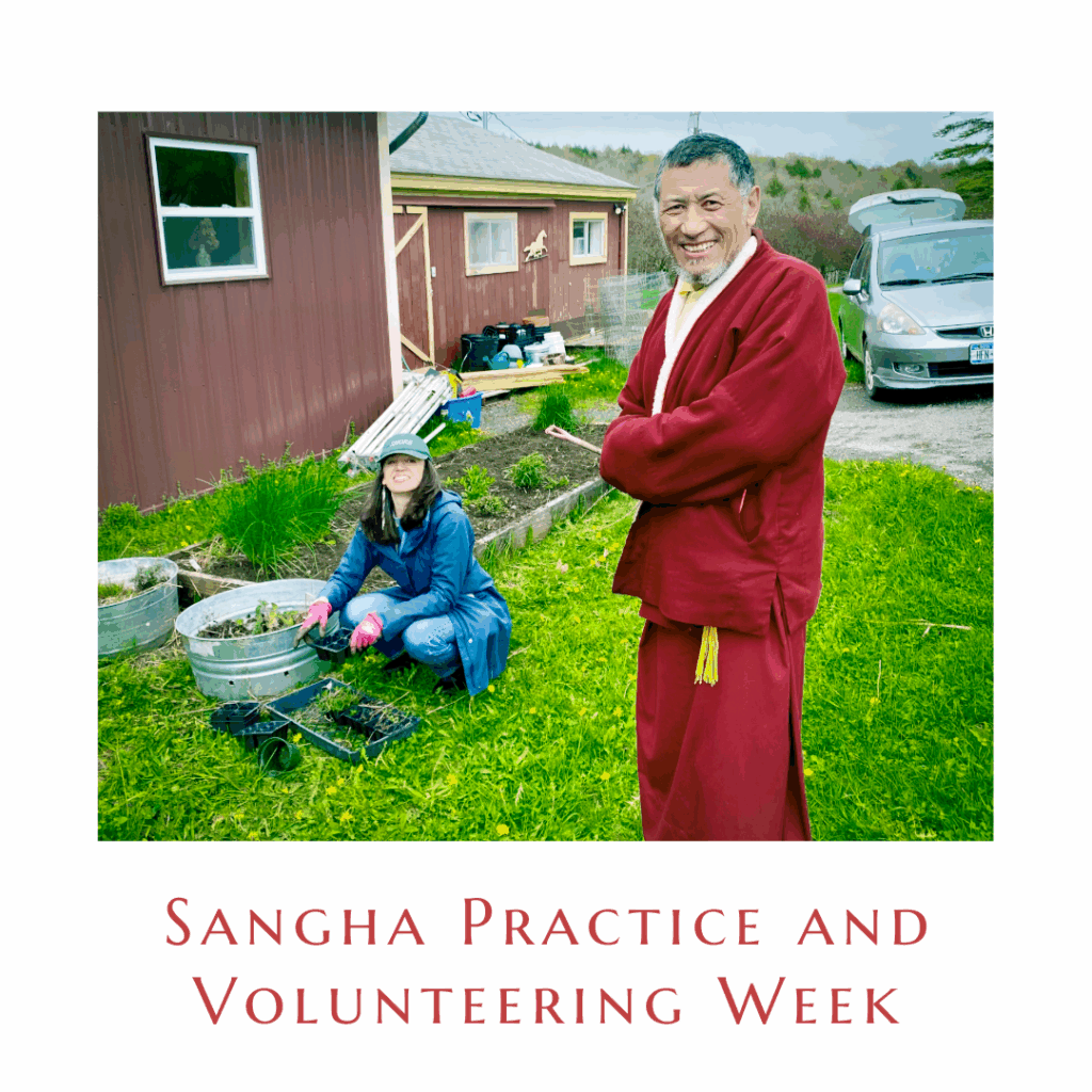 The programs featured image